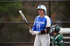 Softball vs Babson  Wheaton College Softball vs Babson College. - Photo by Keith Nordstrom : Wheaton, Softball, Babson, NEWMAC